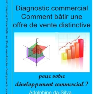 Diagnostic Marketing et commercial