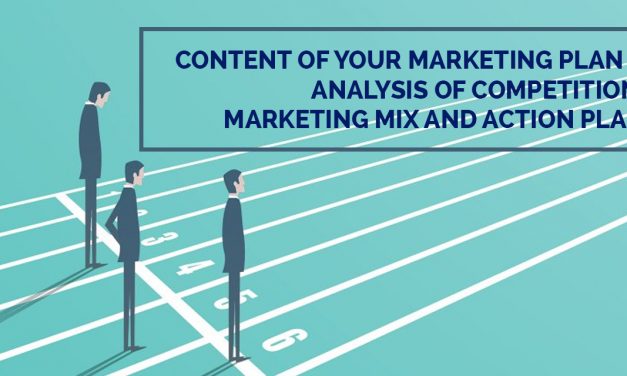 Content of your marketing plan – Analysis of the competition, marketing mix and action plan